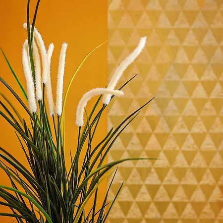 Appartement Sweett - Dali Gracia